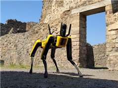 Chó robot “tuần tra" công viên khảo cổ Pompeii